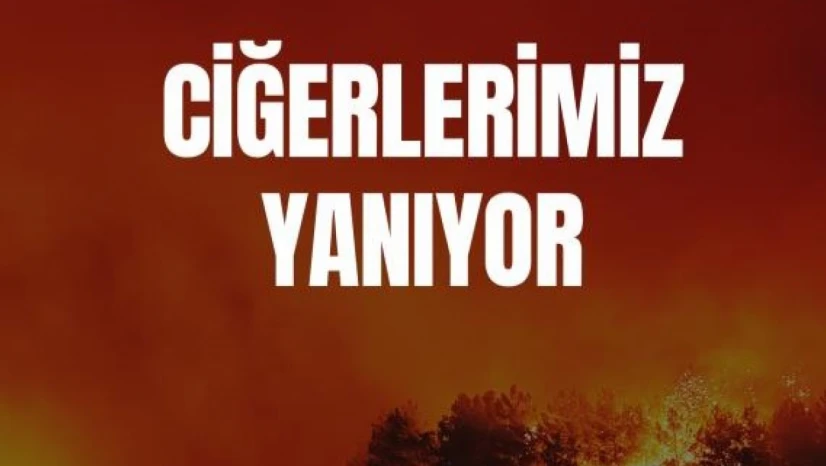 TFF'den orman yangınlarına ilişkin geçmiş olsun mesajı