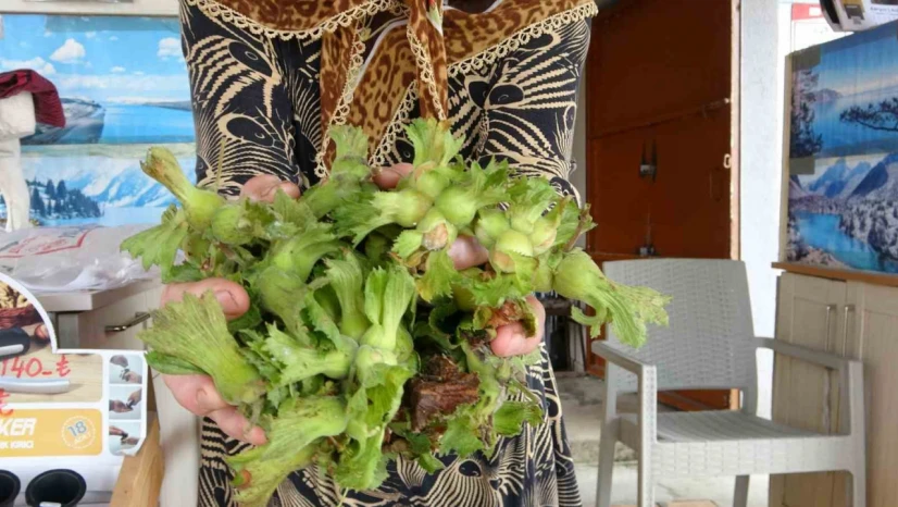 TMO'nun fiyatını 200 lira açıkladığı Fındık, tezgahta 300 liradan satılmaya başladı