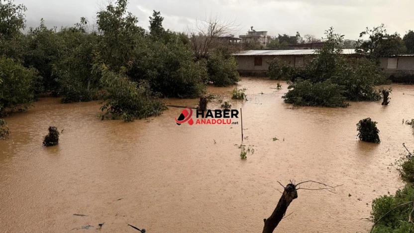 7 ilçede eğitime ara