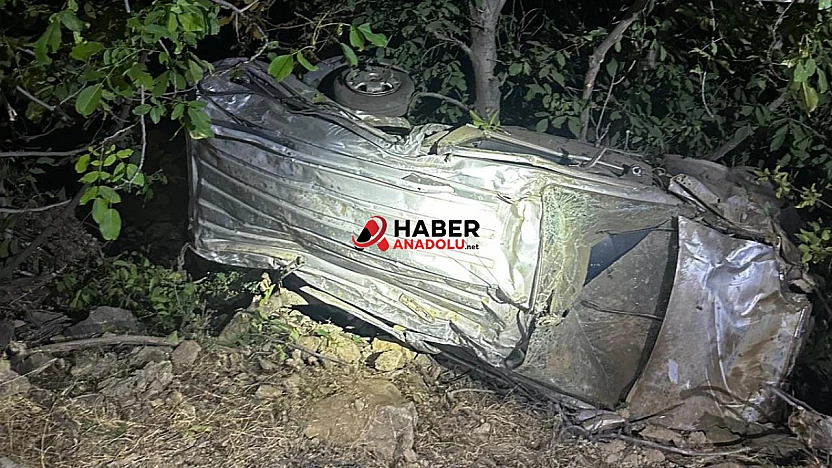 Bingöl'de hafif ticari araç uçuruma yuvarlandı
