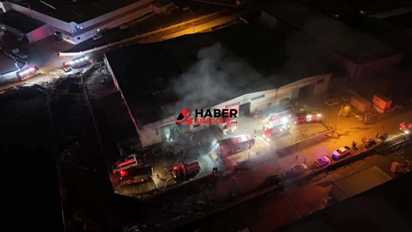 Mobilya fabrikasında yangın