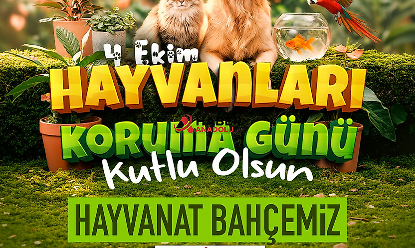 4 Ekim'de Kayserililere ücretsiz hayvanat bahçesi fırsatı