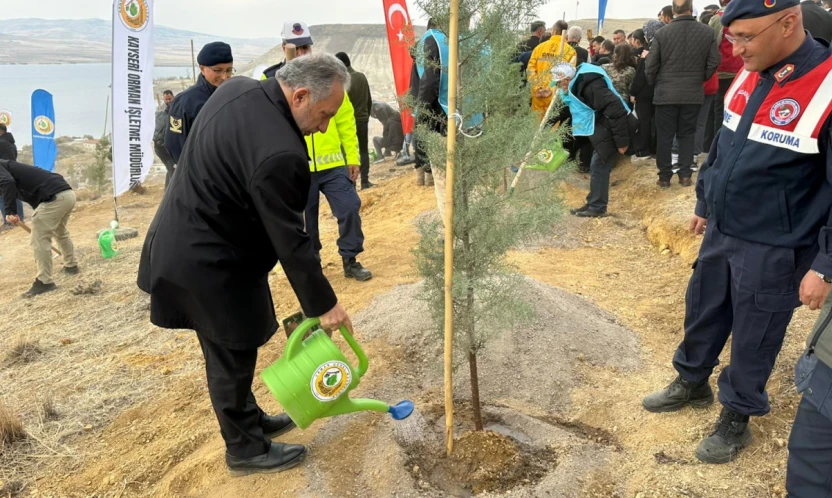 ALİ DAĞININ ZİRVESİNE 1111 FİDAN