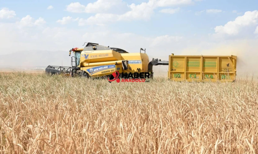 Girişimcilere 114,4 milyon lira hibe aktarıldı