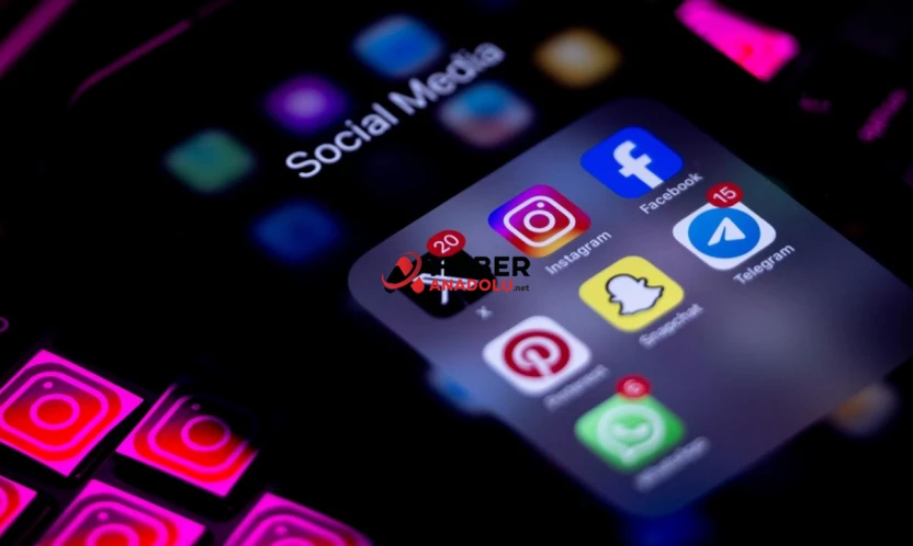 Meclis, Avrupa'nın sosyal medyaya yönelik denetimlerini araştırdı